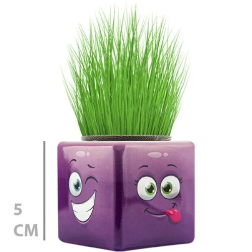 Baysan Mini Küp Emoji Çim Adam - Eğitici ve Dekoratif Bitki Yetiştirme Seti ürün görseli 1
