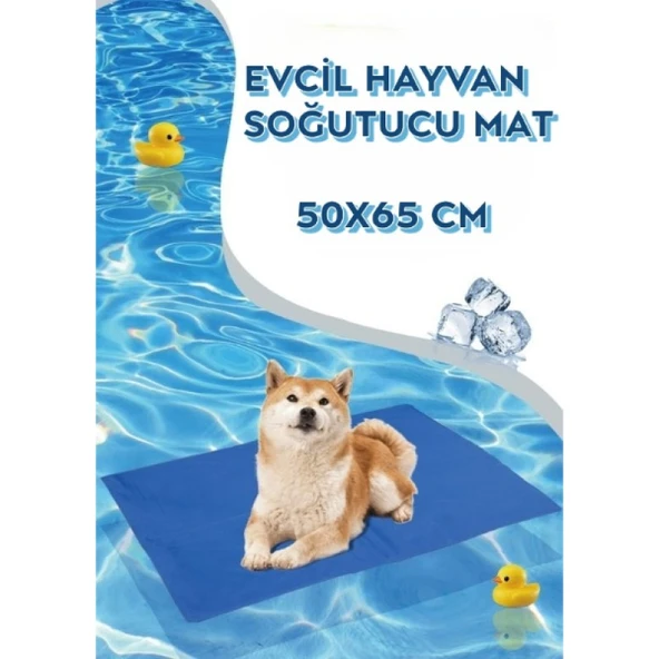 ETT Evcil Hayvan Soğutucu Yatak Matı (50x65 cm): Kedi ve Küçük Köpekler İçin Jel Ped ürün görseli 1