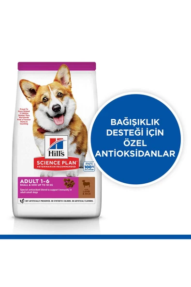 HİLLS SMALL&MİNİ KUZU ETLİ YETİŞKİN KÖPEK MAMASI 1,5KG ürün görseli 1