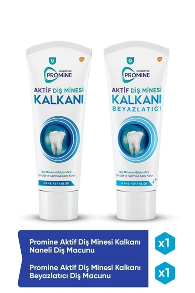 Promine Aktif Diş Minesi Kalkanı Beyazlatıcı & Naneli Diş Macunu Set ürün görseli 1