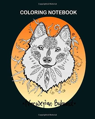 Coloring Book: Doodlebu In Color 8 X 10 Inches ürün görseli 1