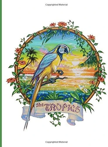 The Tropics: The Tropics Sketch Book Tropical Island Paradise Sketch Book. For Artists Or Anyone To Draw And Sketch And Creative. This Notebook Is 8.5" X 11" With 110 Pages. ürün görseli 1