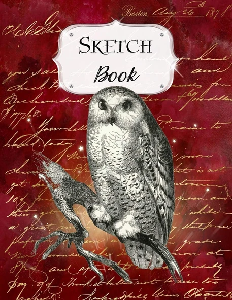 Sketch Book: Owl | Sketchbook | Scetchpad For Drawing Or Doodling | Notebook Pad For Creative Artists | Red #7 ürün görseli 1