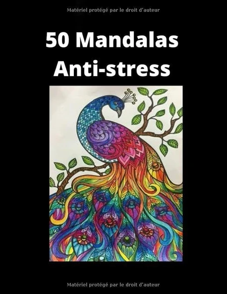 50 Mandalas Anti-Stress: Livre De Coloriage Pour Adultes, 50 Mandalas De Haute Qualité (21,59 X 27,94 Cm). ürün görseli 1