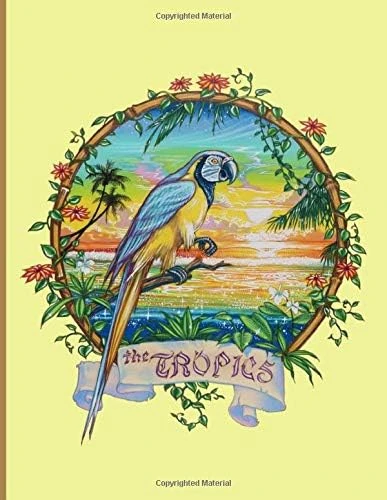 The Tropics: The Tropics Sketch Book Tropical Island Paradise Sketch Book. For Artists Or Anyone To Draw And Sketch And Creative. This Notebook Is 8.5" X 11" With 110 Pages. ürün görseli 1