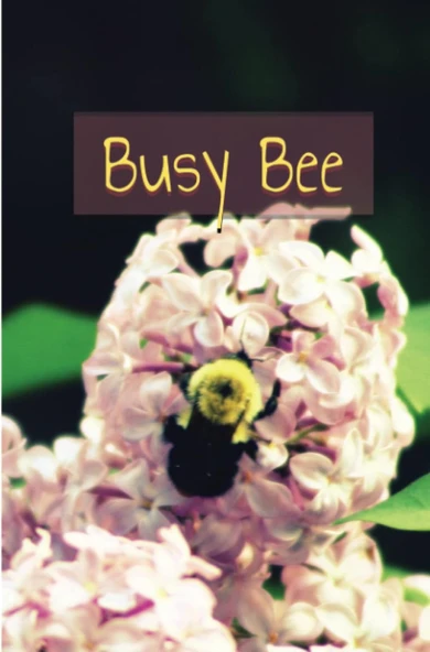 Busy Bee | Cute | Blank Sketch Pages 125 Pages ürün görseli 1