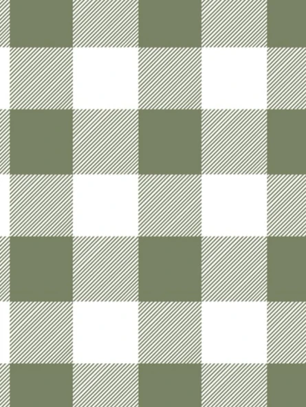 Olive Green Buffalo Plaid Sketchbook/Scrapbook/Blank Pages: 150 Page Sketchbook/Scrapbook ürün görseli 1