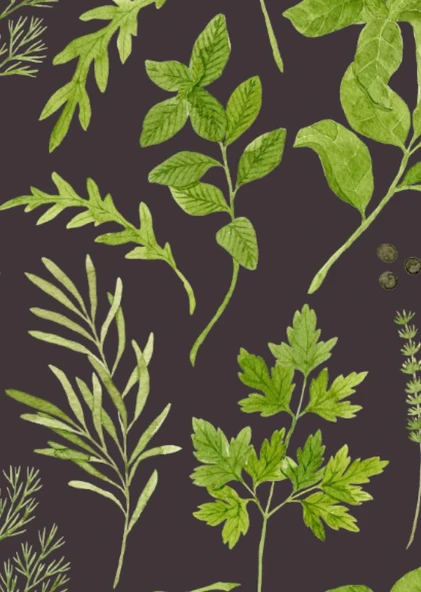 Independently Published Journal - 5.7 X 8, Softcover: Watercolor Herbs (Botany) ürün görseli 1