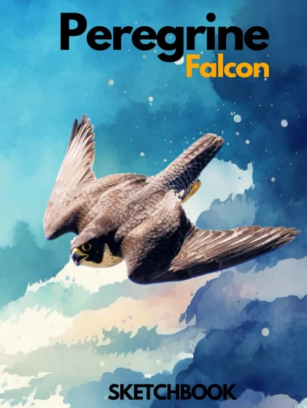 Peregrine Falcon Sketchbook 8.5 X 11 Inch (21.59 X 27.94 Cm) 150 Pages: Peregrine Falcon Blank Journal & Blank Notebook , Sketch,Draw & Doodle For Falcons Falconry Lovers ürün görseli 1