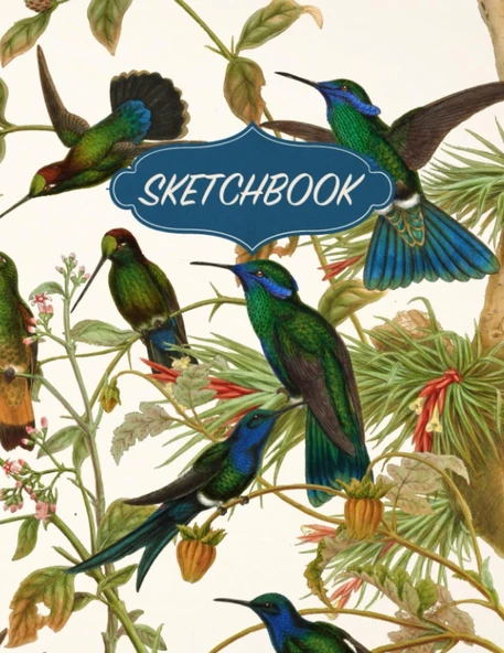 Bird Sketchbook: Aesthetic Doodles & Drawings Notebook | Hummingbirds Illustrated Cover | Drawing Pad | Large Journal With Blank Pages For Drawing, Sketching, Journaling, And Doodling ürün görseli 1