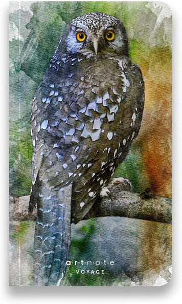 Note Voyage, Çizgisiz Seyahat Not Defteri, Karton Kapak, 12X21 Cm Dikey, 128 Sayfa ürün görseli 1