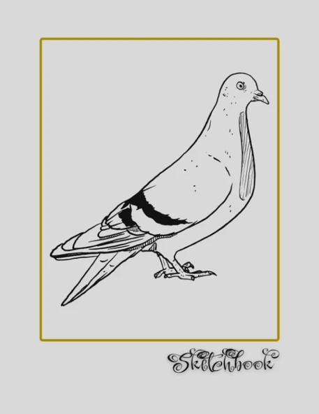 Sketchbook: Bird Sketch, Large 8.5" X 11", 110 Pages, Perfect For Everyone, Crayons, Pencils, Drawing And Sketching ürün görseli 1