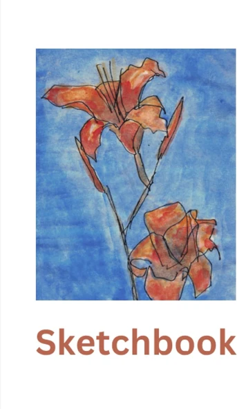Floral Sketchbook - Day Lily: Sketchbook With Day Lillies On The Cover, 120 Blank Pages To Draw On. Ideal For Children And Adults ürün görseli 1