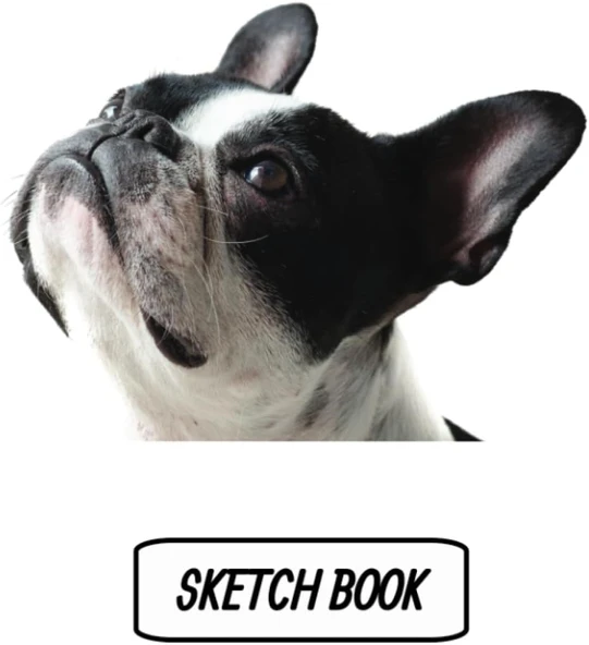 Sketch Book: Notebook For Drawing, Sketching, Doodling, & Writing With Unlined Blank White Pages ürün görseli 1