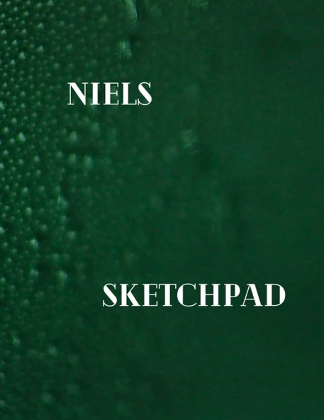 Niel'S Sketchpad: 200 Pages Sketch Sheets, 8.5Inchesx11Inches ürün görseli 1