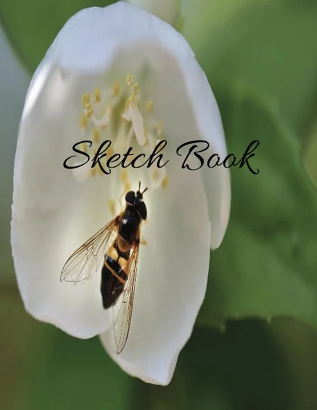 Independently Published Sketch Book: Notebook For Drawing, Writing, Painting, Sketching Or Doodling ürün görseli 1
