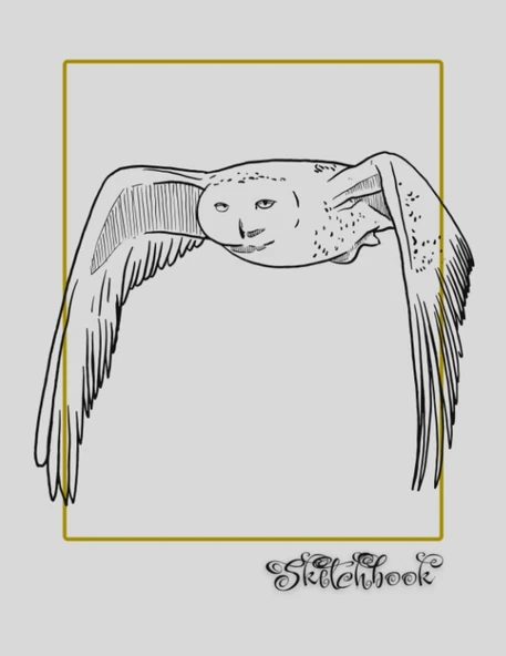 Sketchbook: Bird Sketch, Large 8.5" X 11", 110 Pages, Perfect For Everyone, Crayons, Pencils, Drawing And Sketching ürün görseli 1