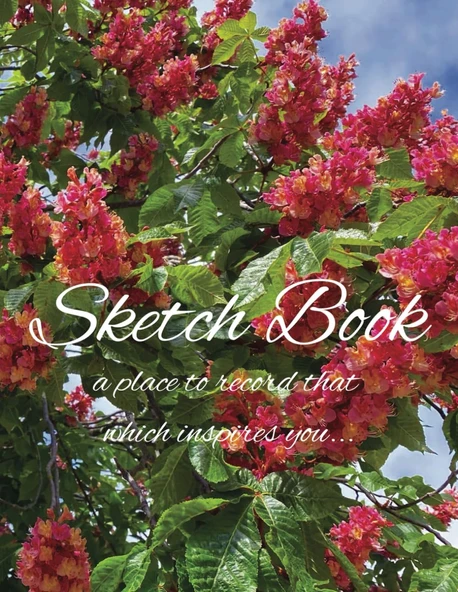 Independently Published Sketch Book: Ideal For Sketching, Coloring, Drawing, Doodling, And Therapy. 120 Pages, 8.5X11: Unlined White Paper Journal/Sketch Pad. Framed And ... That Which Inspires Y ürün görseli 1