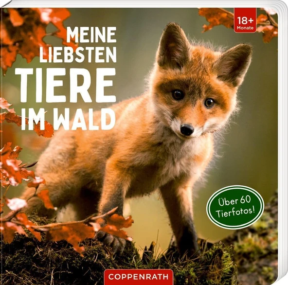 Meine Liebsten Tiere Im Wald ürün görseli 1