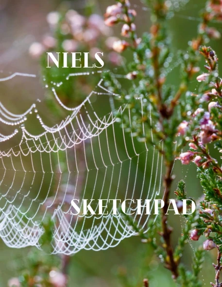 Niel'S Sketchpad: 200 Pages Sketch Sheets, 8.5Inchesx11Inches ürün görseli 1