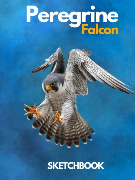Peregrine Falcon Sketchbook Large Sketchbook For Drawing 8.25 X 11 Inch (21.59 X 27.94 Cm) 200 Pages Hardcover: Peregrine Falcon Blank Journal & Blank Notebook , Sketch,Draw & Doodle ürün görseli 1