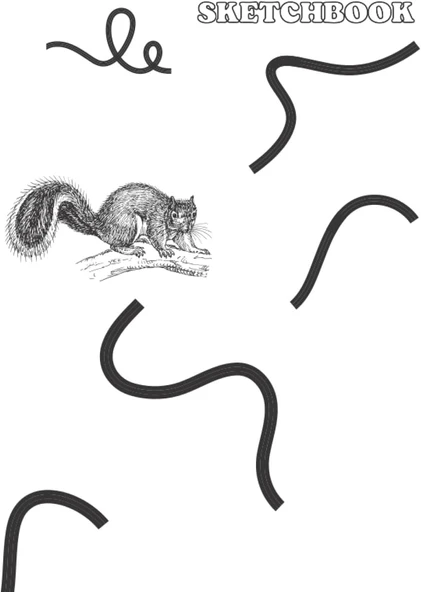 Sketchbook White Page | Animal Sketchbook | Squirrel Sketchbook :: The Blank White Paper | 8.5X11 Inc. 120 Pages | For Sketching, ... And More | Ideal Size Blank White Paper. ürün görseli 1