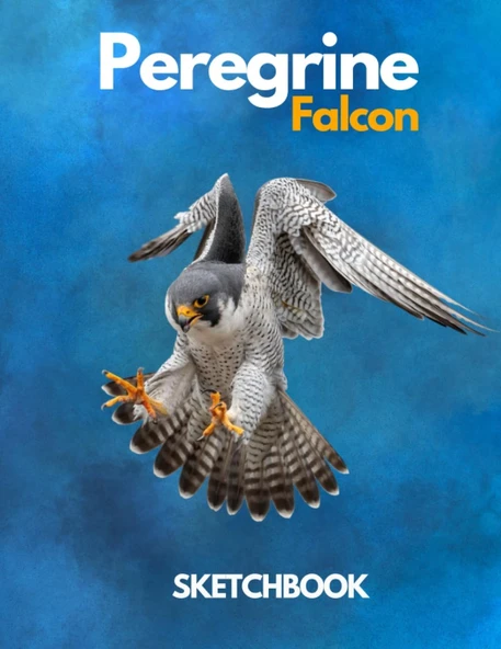 Peregrine Falcon Sketchbook Large Sketchbook For Drawing 8.5 X 11 Inch (21.59 X 27.94 Cm) 150 Pages: Peregrine Falcon Blank Journal & Blank Notebook , Sketch,Draw & Doodle ürün görseli 1