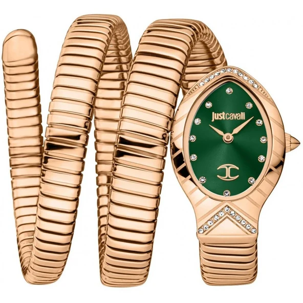 Just Cavalli JC1L248M0045 Kadın Kol Saati ürün görseli 1