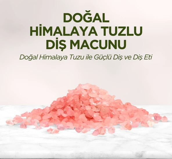 Doğal Diş Macunu 90 Gr Himalaya Tuzlu ürün görseli 1
