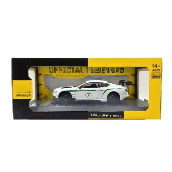 1/24 GT3 Model Araba ürün görseli 1