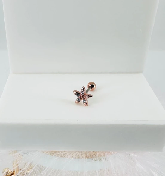 Rose Zirkon Taşlı Uç Kısmı : Pirinç Kıkırdak Bar Uzunluğu : 6 Mm / Bar Kalınlığı 0.8 Mm / Top Boyu 3 Mm - Pt0024-2 ürün görseli 1