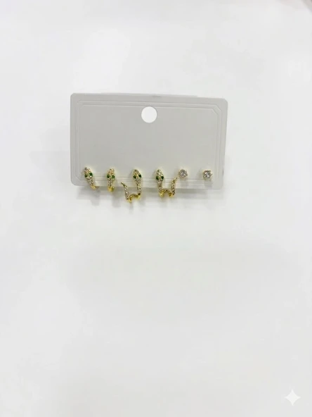 Kıvrımlı Yeşil Gözlü Yılan Detaylı Altılı Küpe - Kp00564 ürün görseli 1