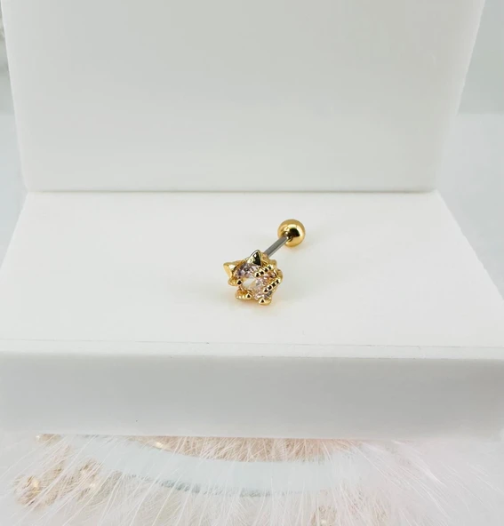 Zirkon Taşlı Uç Kısmı : Pirinç Kıkırdak Bar Uzunluğu : 6 Mm / Bar Kalınlığı 0.8 Mm / Top Boyu 3 Mm - Pt0028-1 ürün görseli 1