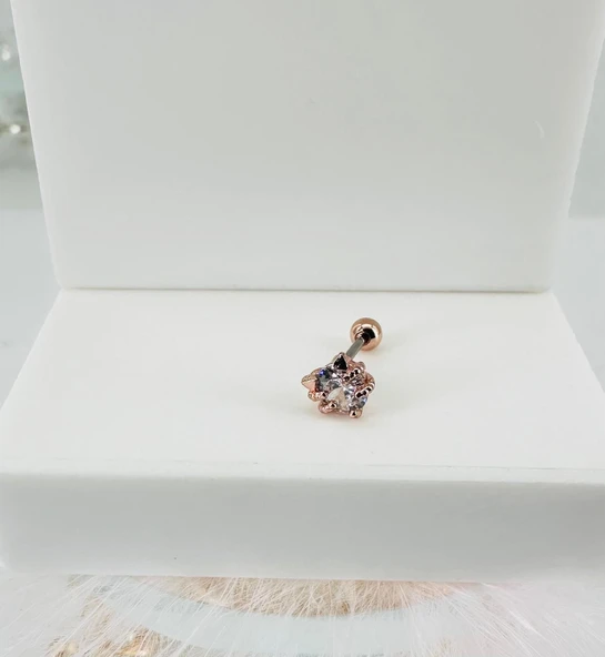 Rose Zirkon Taşlı Uç Kısmı : Pirinç Kıkırdak Bar Uzunluğu : 6 Mm / Bar Kalınlığı 0.8 Mm / Top Boyu 3 Mm - Pt0028-2 ürün görseli 1