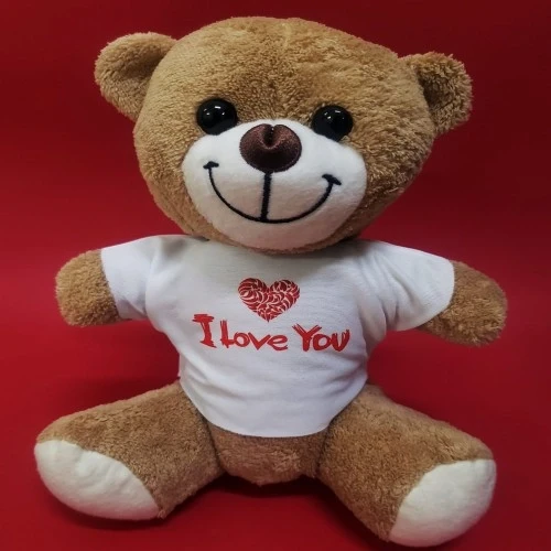 I Love You Tişörtlü Ayı - Resim 2