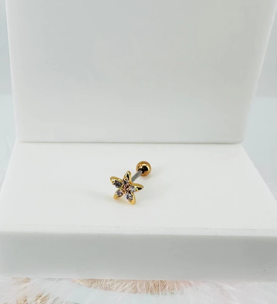 Zirkon Taşlı Uç Kısmı : Pirinç Kıkırdak Bar Uzunluğu : 6 Mm / Bar Kalınlığı 0.8 Mm / Top Boyu 3 Mm - Pt0024-1 ürün görseli 1