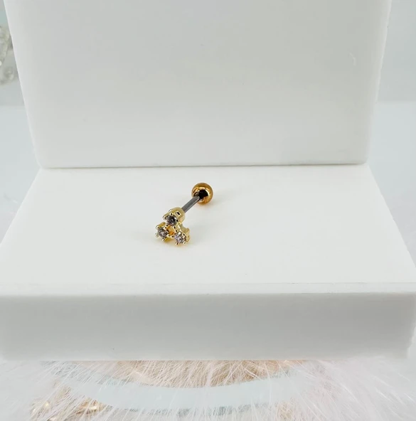 Zirkon Taşlı Uç Kısmı : Pirinç Kıkırdak Bar Uzunluğu : 6 Mm / Bar Kalınlığı 0.8 Mm / Top Boyu 3 Mm - Pt0035-1 ürün görseli 1