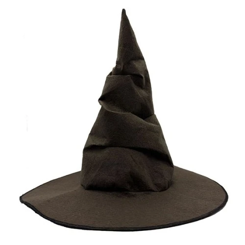 Harry Potter Seçmen Şapkası Çocuk Boy ürün görseli 1