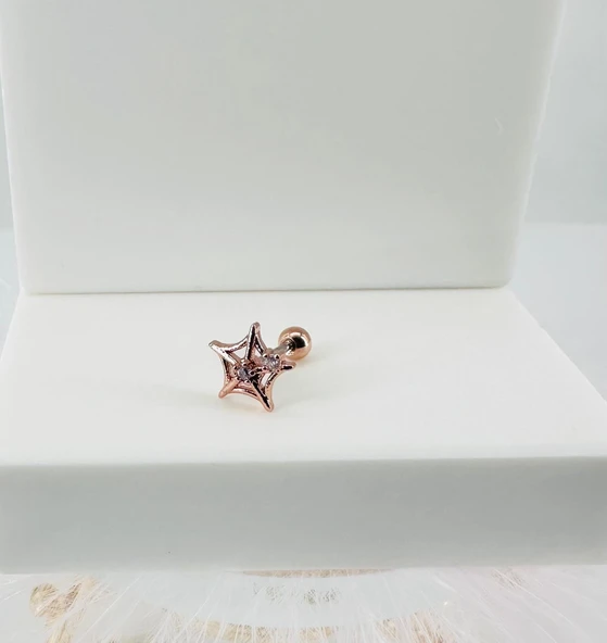 Rose Zirkon Taşlı Uç Kısmı : Pirinç Kıkırdak Bar Uzunluğu : 6 Mm / Bar Kalınlığı 0.8 Mm / Top Boyu 3 Mm - Pt0014-2 ürün görseli 1