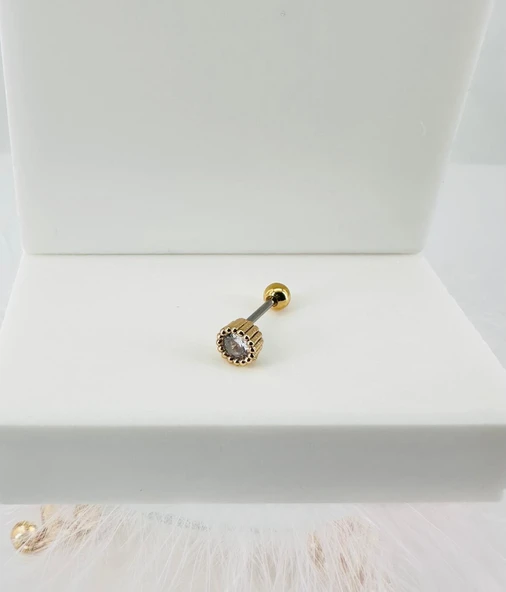 Zirkon Taşlı Uç Kısmı : Pirinç Kıkırdak Bar Uzunluğu : 6 Mm / Bar Kalınlığı 0.8 Mm / Top Boyu 3 Mm - Pt0013-1 ürün görseli 1