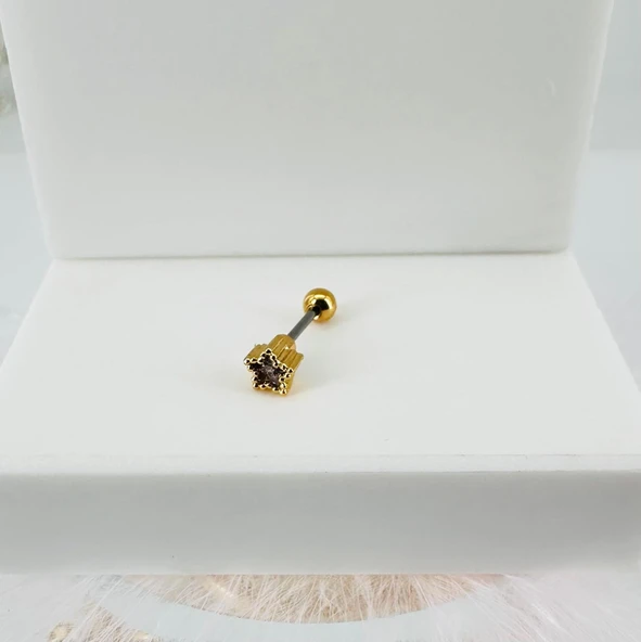 Zirkon Taşlı Uç Kısmı : Pirinç Kıkırdak Bar Uzunluğu : 6 Mm / Bar Kalınlığı 0.8 Mm / Top Boyu 3 Mm - Pt0031-1 ürün görseli 1