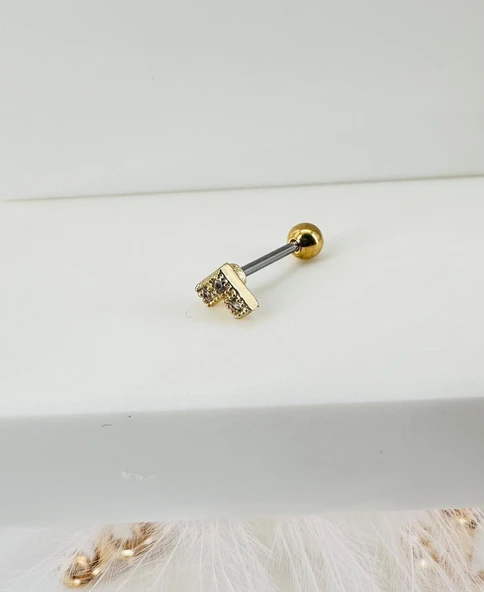Zirkon Taşlı Uç Kısmı : Pirinç Kıkırdak Bar Uzunluğu : 6 Mm / Bar Kalınlığı 0.8 Mm / Top Boyu 3 Mm - Pt0008-1 ürün görseli 1