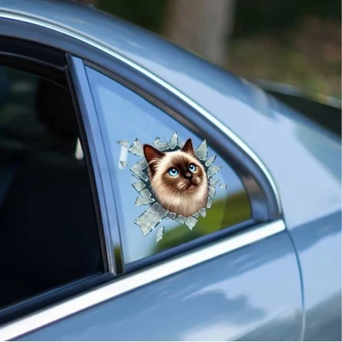 Fulcar Siamesse Araç Stickerı ürün görseli 1