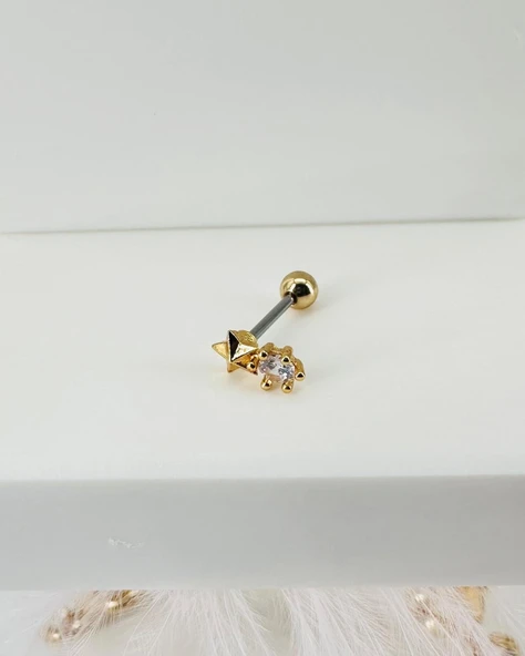 Zirkon Taşlı Uç Kısmı : Pirinç Kıkırdak Bar Uzunluğu : 6 Mm / Bar Kalınlığı 0.8 Mm / Top Boyu 3 Mm - Pt0009-1 ürün görseli 1