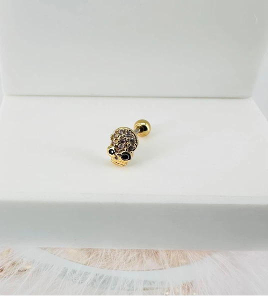 Zirkon Taşlı Uç Kısmı : Pirinç Kıkırdak Bar Uzunluğu : 6 Mm / Bar Kalınlığı 0.8 Mm / Top Boyu 3 Mm - Pt0033-1 ürün görseli 1