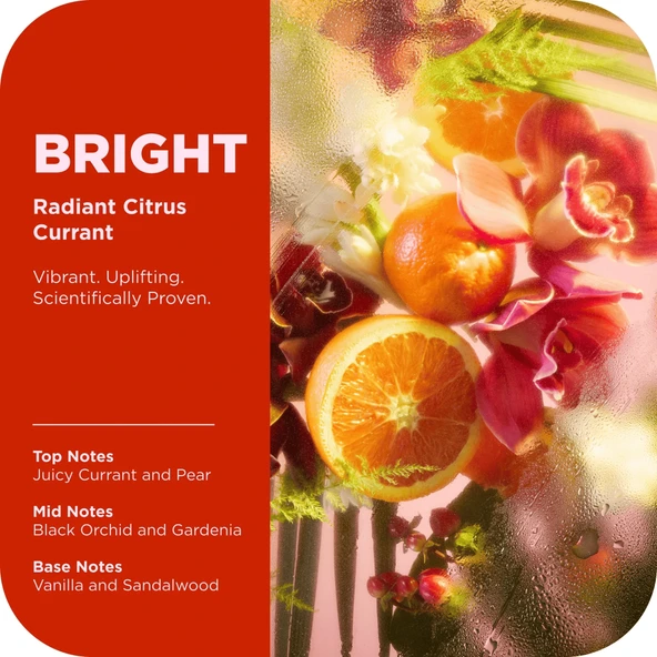 Olly Bright Seyehat Boyu Duş Jeli 88ML - Resim 5