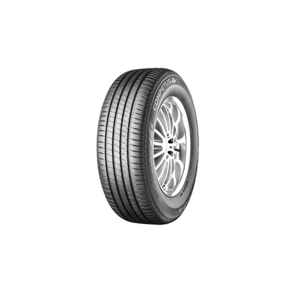 Lassa Competus H/P 2 225/65R17 102H 4x4 Yaz Lastiği (Üretim Yılı:2025) ürün görseli 1