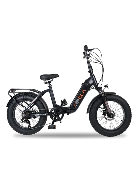 Ola Electrofold EFD1 Carbon Design 250 W Katlanabilir Elektrikli Bisiklet ürün görseli 1