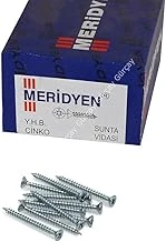 Meri̇dyen 6,0X200 Sunta Vidası ürün görseli 1