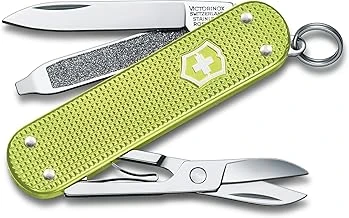 Victorinox Çakı Tasty Grape Mor Kutuda ürün görseli 1